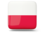 Polsk, Polish